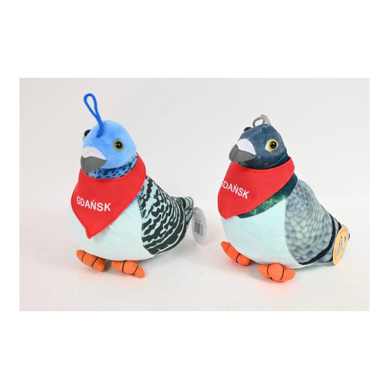 Gołębie GDAŃSK VIC04377 GD 43773