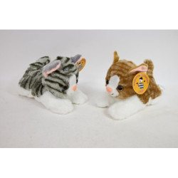 Kotek pręgowany leżący CHT04218 42189