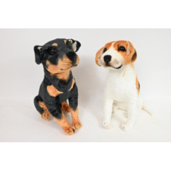 Psy rasowe duże VIC04368 43681