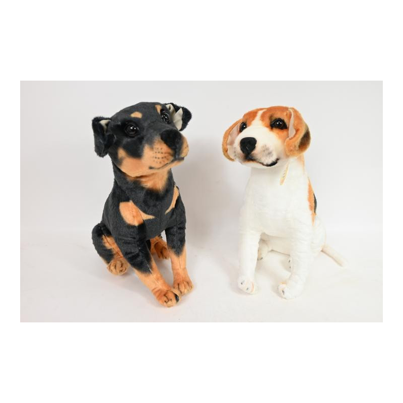 Psy rasowe duże VIC04368 43681