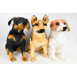 Psy rasowe olbrzymie VIC04370 43704