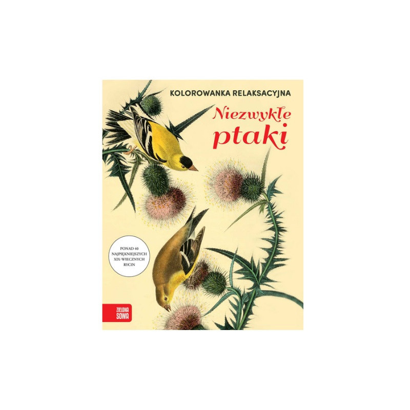 Kolorowanka relaksacyjna Ptaki 84684