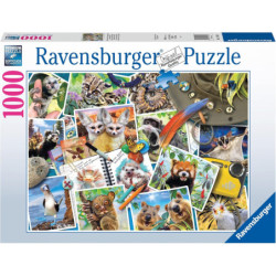 RAV puzzle 1000 Zwierzęta świata 17322