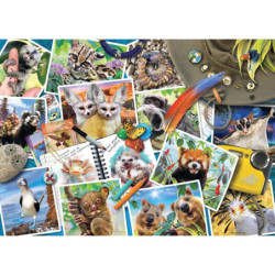 RAV puzzle 1000 Zwierzęta świata 17322