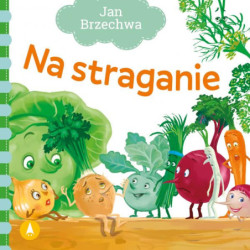 Na straganie 73935