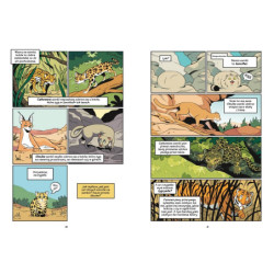 Koty - natura i wychowanie 43518