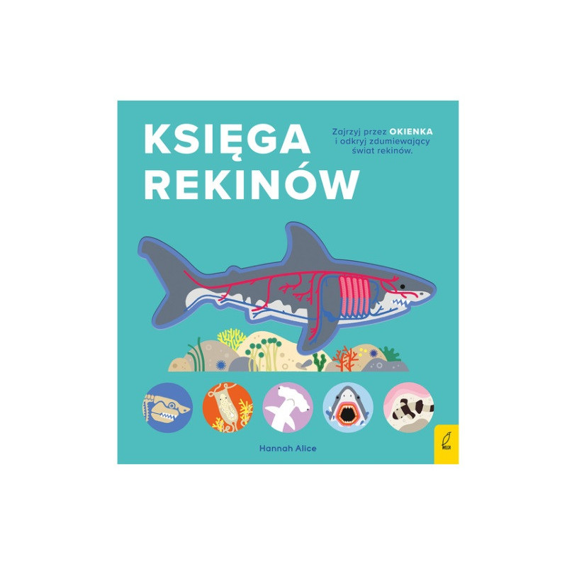 Księga rekinów encyklopedia z folią 71837