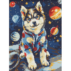 Diament.mozaika30x40 Kosmiczny husky 70567