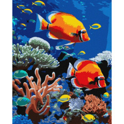 Malow.po num.40x50 Jaskrawa rafa 79232