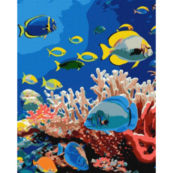 Malow.po num.40x50 Życie oceanu 80689