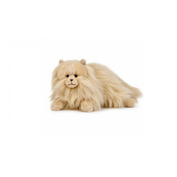 Kot perski karmelowy 35cm 14290 25081