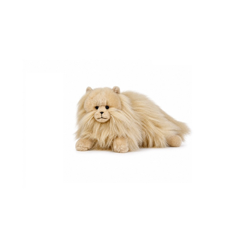 Kot perski karmelowy 35cm 14290 25081