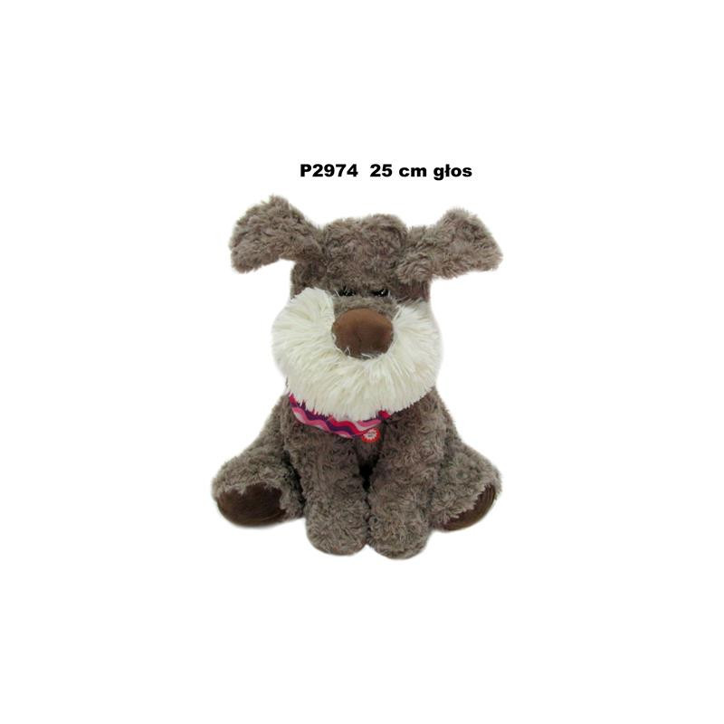 Pies P-2974 głos 148223