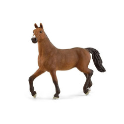 SLH klacz Oldenburska 13945 57195