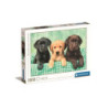 CLE puzzle 1000 Trzy labradory 39279