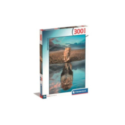 CLE puzzle 300 Super Self Reflection 21719