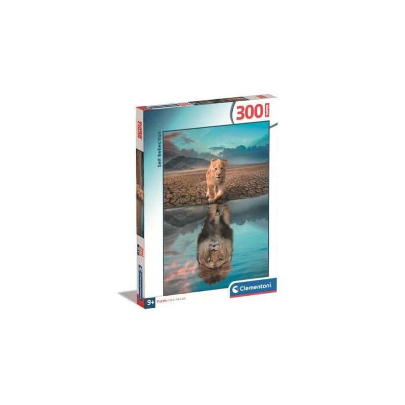CLE puzzle 300 Super Self Reflection 21719