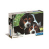CLE puzzle 500 Compact Close together 35536