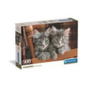 CLE puzzle 500 Compact Kittens 35580