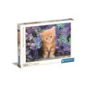 CLE puzzle 500 HQC Ginger cat 30415