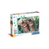 CLE puzzle 60 SuperKolor Lovely KittyTwins 26599
