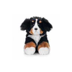 Pies berneński 23cm 14285 25036