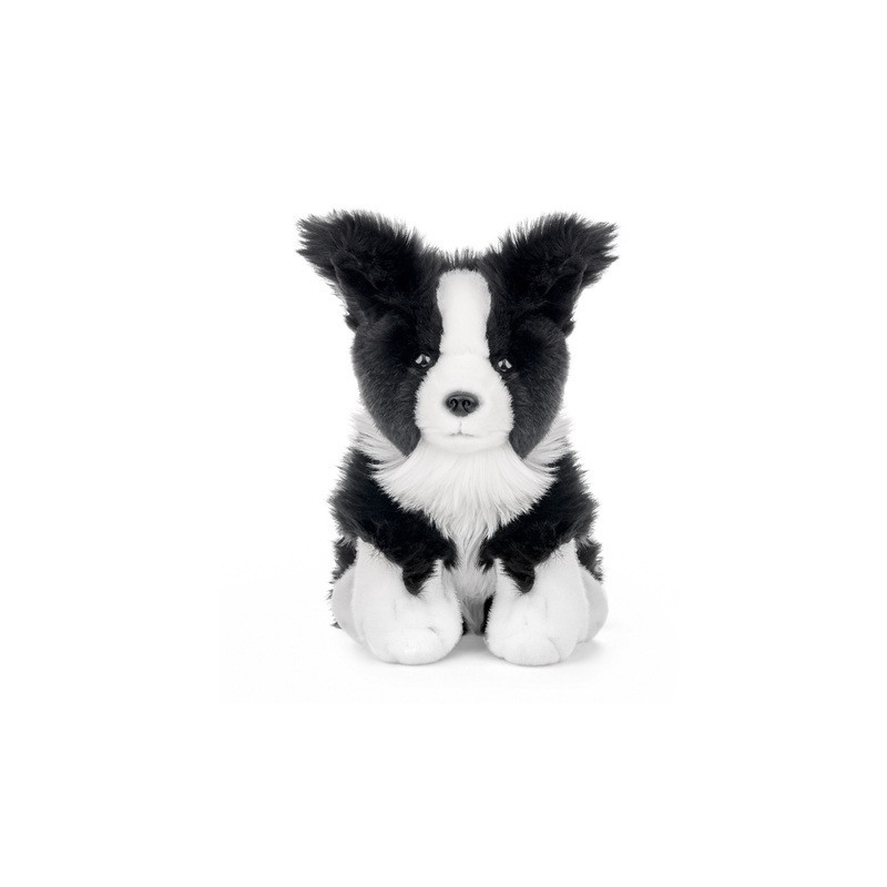 Pies border collie 23cm 14284 25029