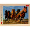 PUZZLE 1000 Galopujące konie 10446