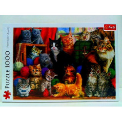PUZZLE 1000 Kocie spotkanie 10555