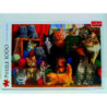PUZZLE 1000 Kocie spotkanie 10555