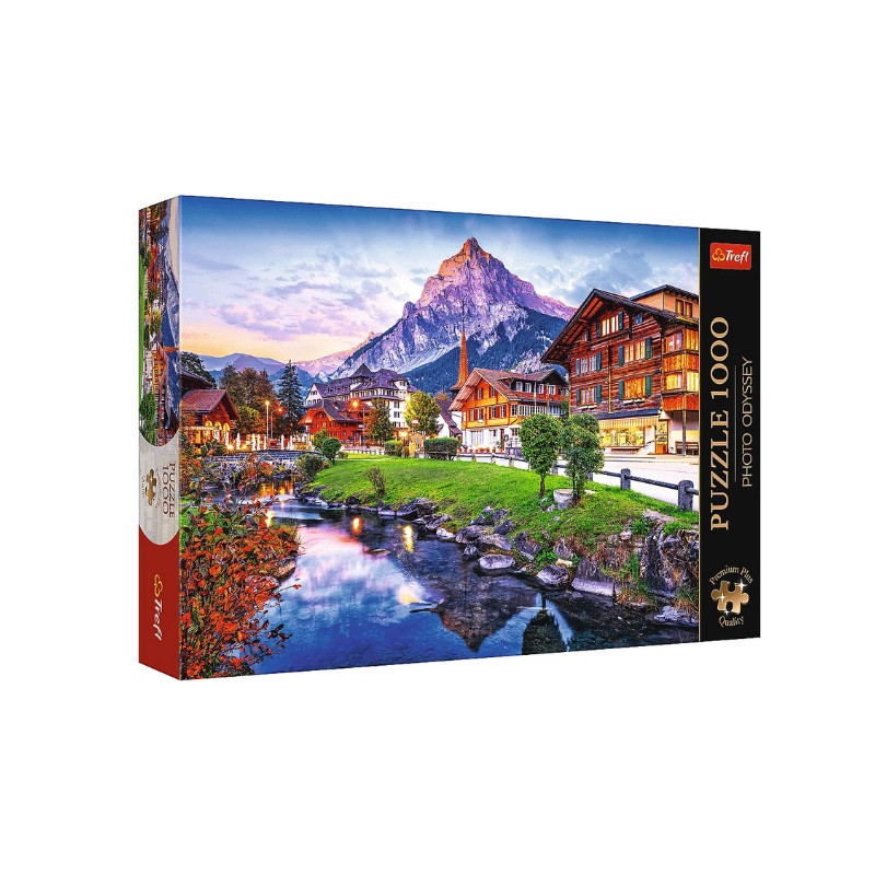 PUZZLE 1000 PremPlus PhotoOdyss Alp.miastecz.10854