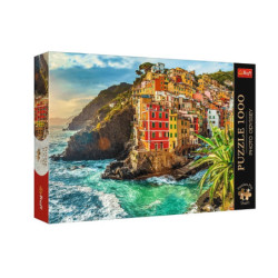 PUZZLE 1000 PremPlus PhotoOdyss Miast.Riomag.10855
