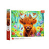 PUZZLE 1000 Szkocka krowa 10998
