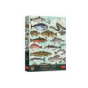 PUZZLE 500 PremPlus FindersKeepers Ryby 37609