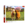 PUZZLE 500 Przyjaciele na farmie 37570