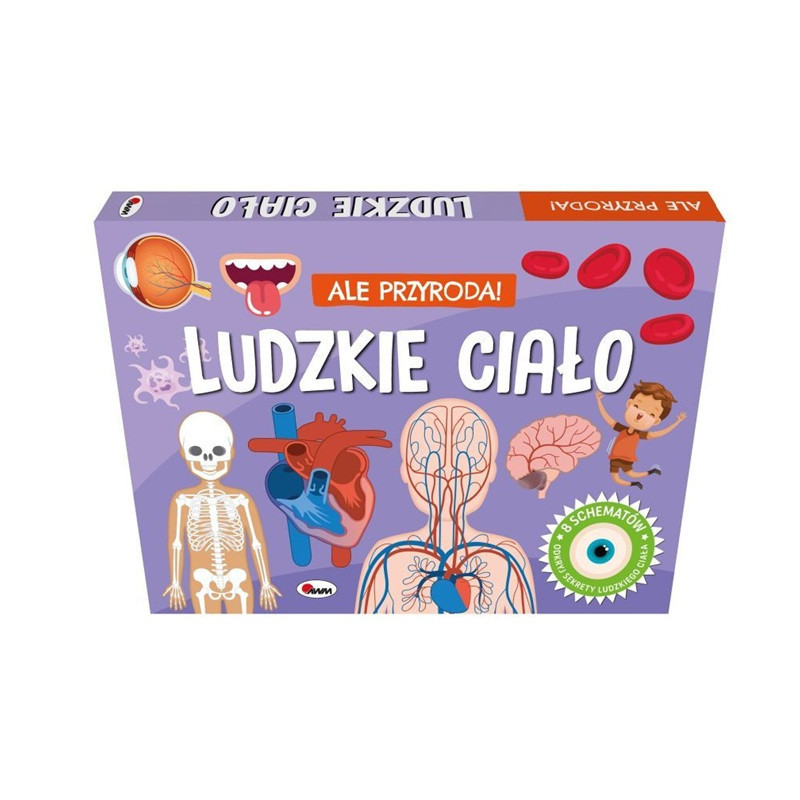 Ale przyroda ludzkie ciało 15482