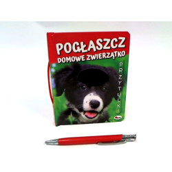 Pogłaszcz domowe zwierzątko . 11170