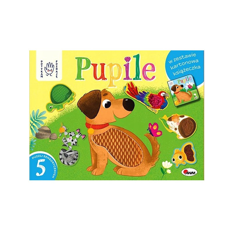 Dotykam,poznaje - pupile box 12818